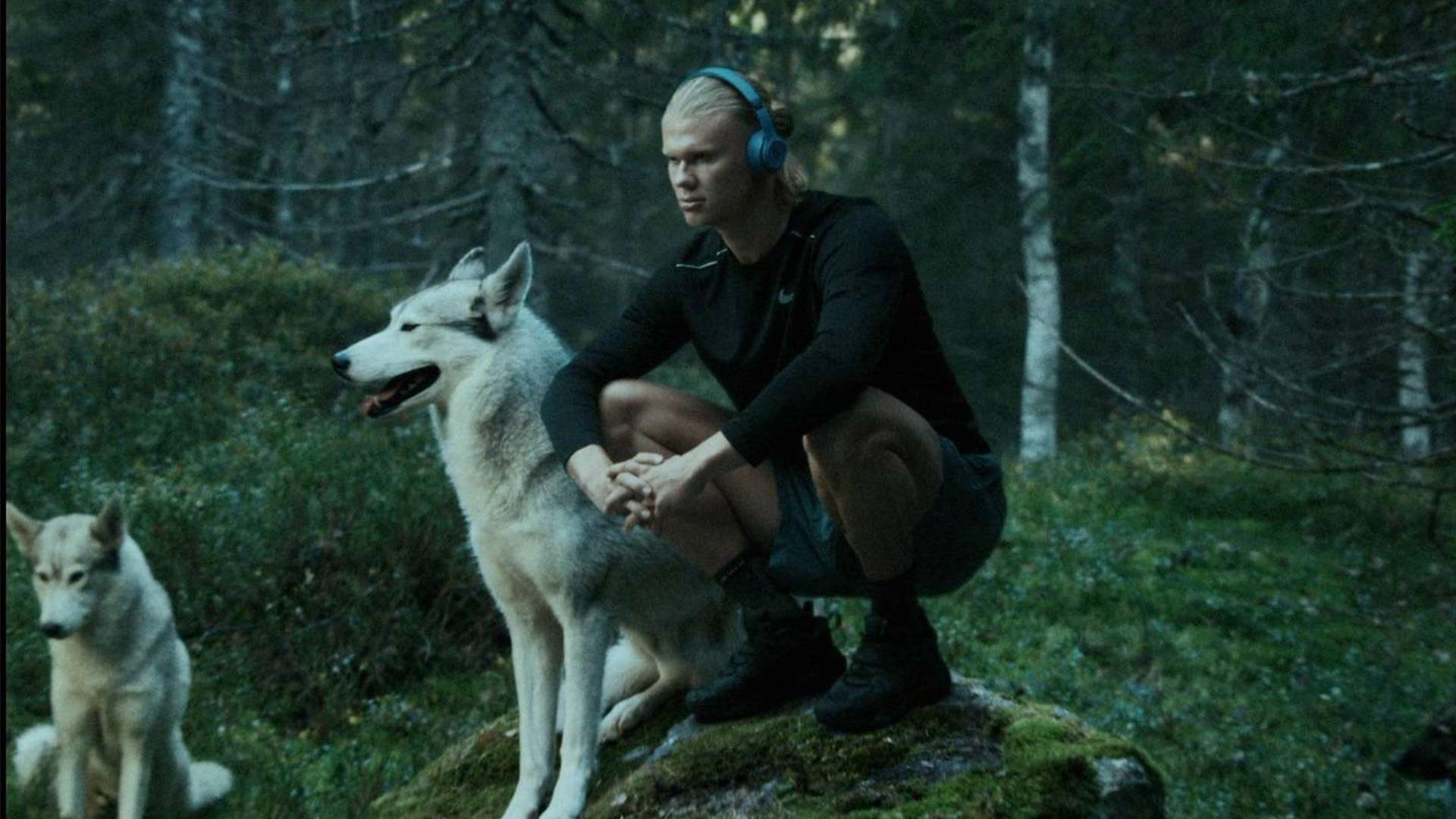 力量与荣耀 力量与荣耀