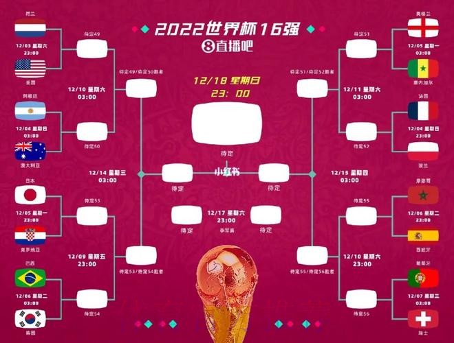 世界杯预测入口最佳